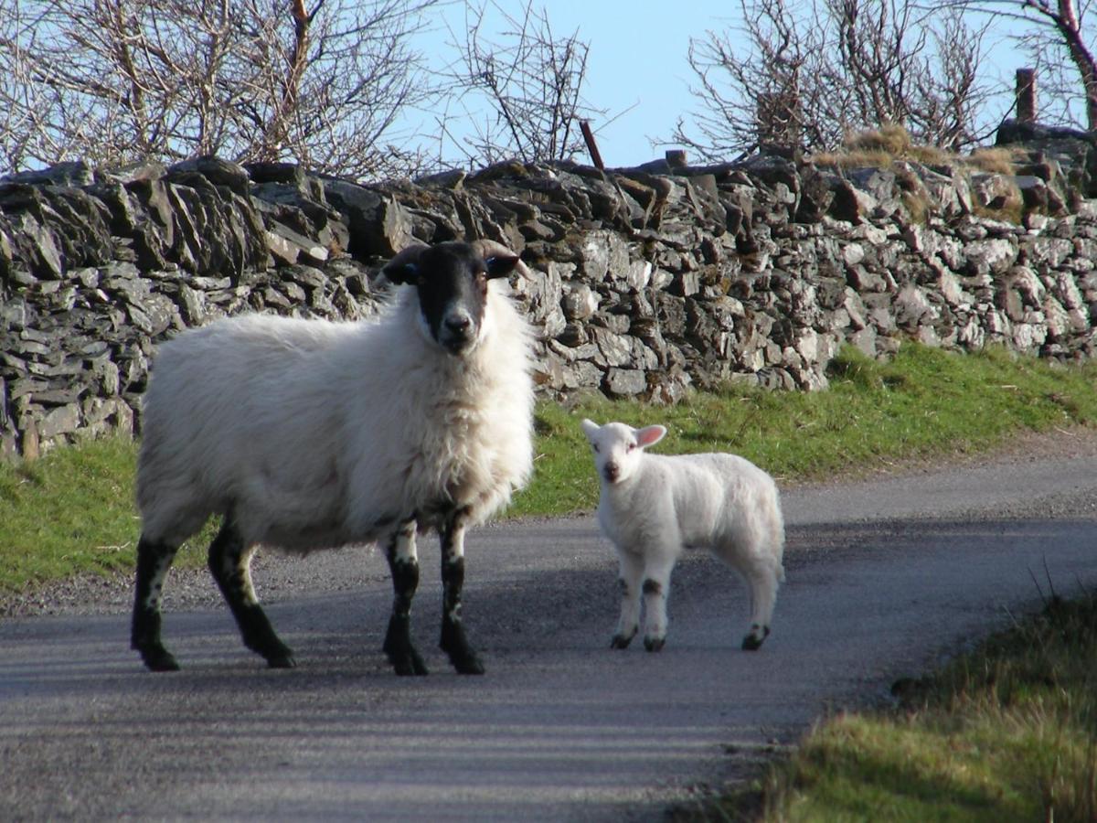 Hotel Sunnybrae, Isle Of Luing Cullipool Esterno foto
